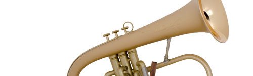 Image of a Flugelhorn