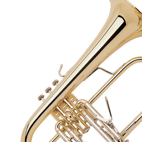 image of a Flugelhorns  