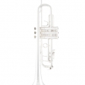 Bach 190S37 Trumpet