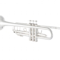 Bach 190S37 Trumpet