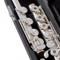 Selmer SFL611BEOC in Case