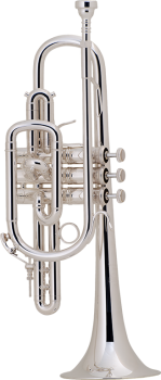 image of a 181SML Professional Bb Cornet